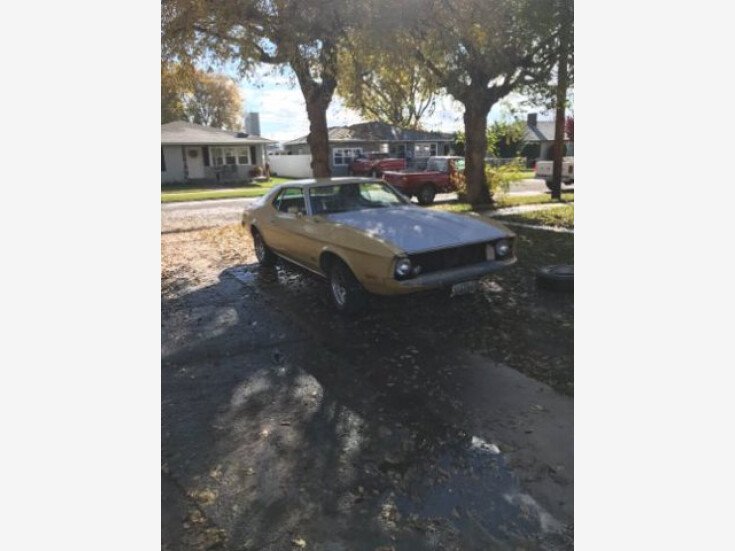 Thumbnail Photo undefined for 1973 Ford Mustang Coupe